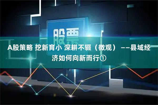 A股策略 挖新育小 深耕不辍(微观) ——县域经济如何向新而行①