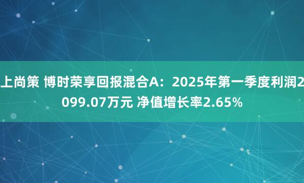 上尚策 博时荣享回报混合A：2025年第一季度利润2099.07万元 净值增长率2.65%