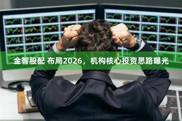 金智股配 布局2026,机构核心投资思路曝光