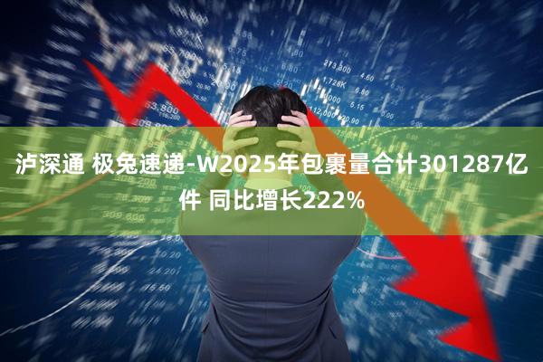泸深通 极兔速递-W2025年包裹量合计301287亿件 同比增长222%